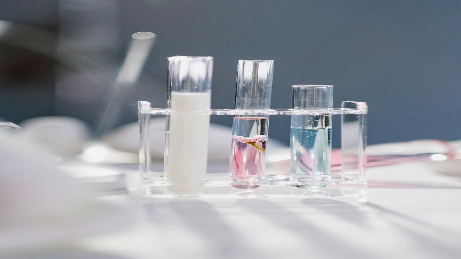 The second trimester of pregnancy - what tests to take